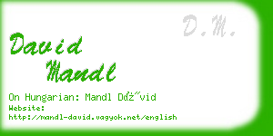 david mandl business card